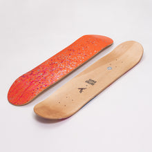 Load image into Gallery viewer, FLORIDA